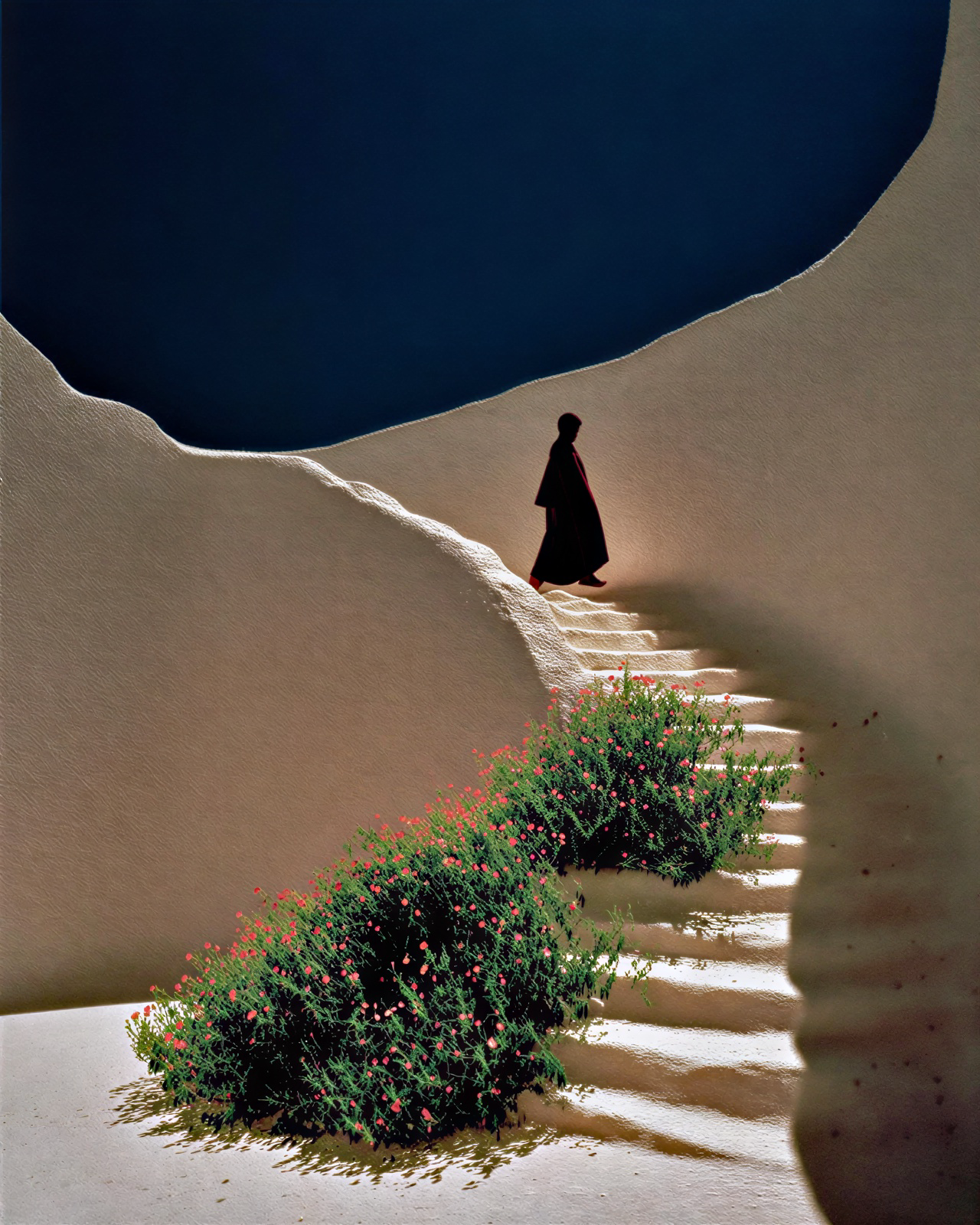 Curved white staircase between plants under a blue sky